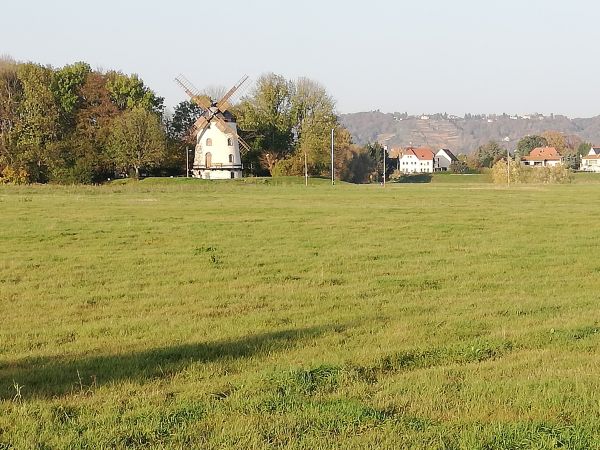 Elbauen bei Gohlis mit Lößnitzblick