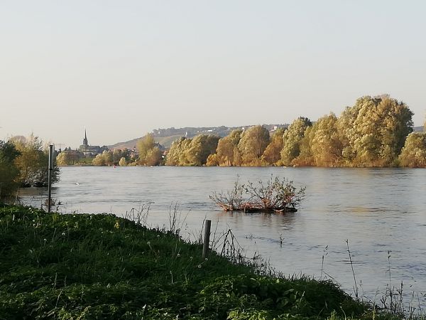 Unser kleiner Park hinter dem Haus